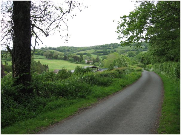 Country lane near Acorn Lodge Shropshire